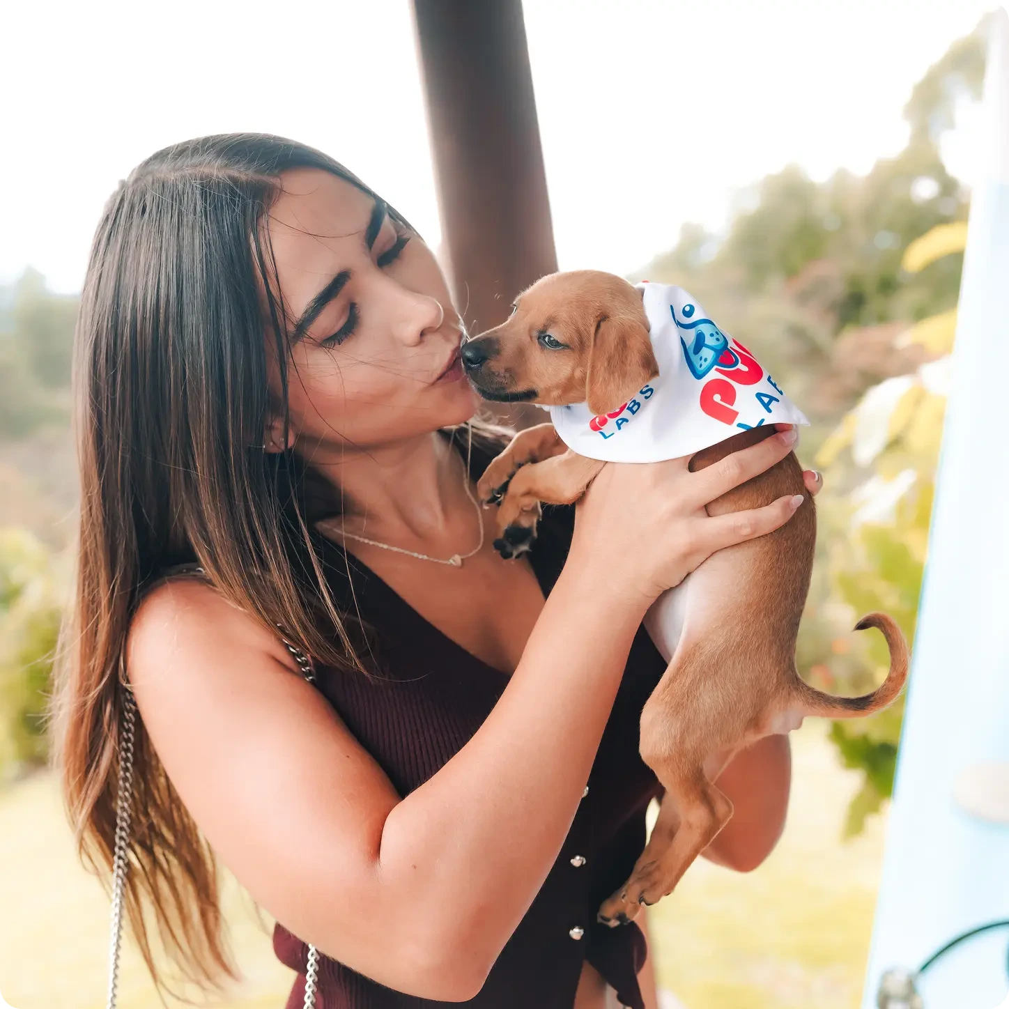 Pure Wellness for Every Pup