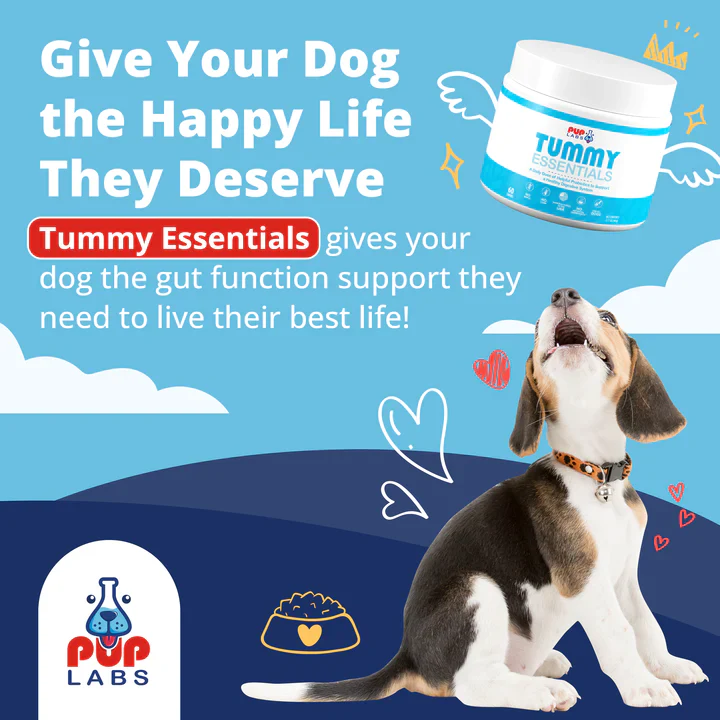Gut Health Bundle - Image 3