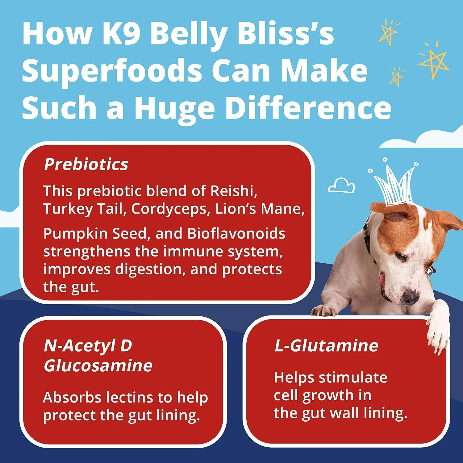 K9 Belly Bliss - Digestive Support - Image 3
