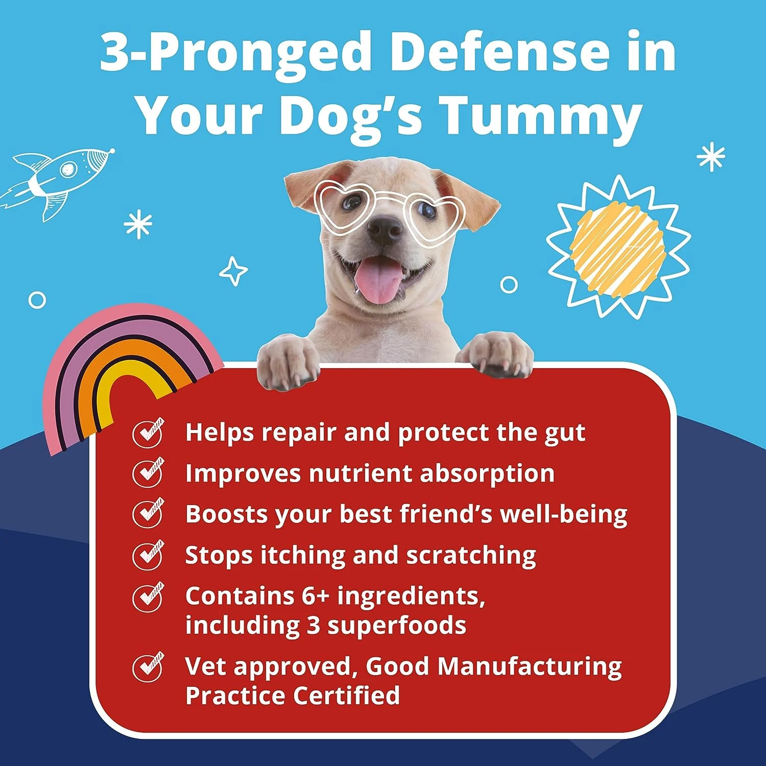 K9 Belly Bliss - Digestive Support - Image 4