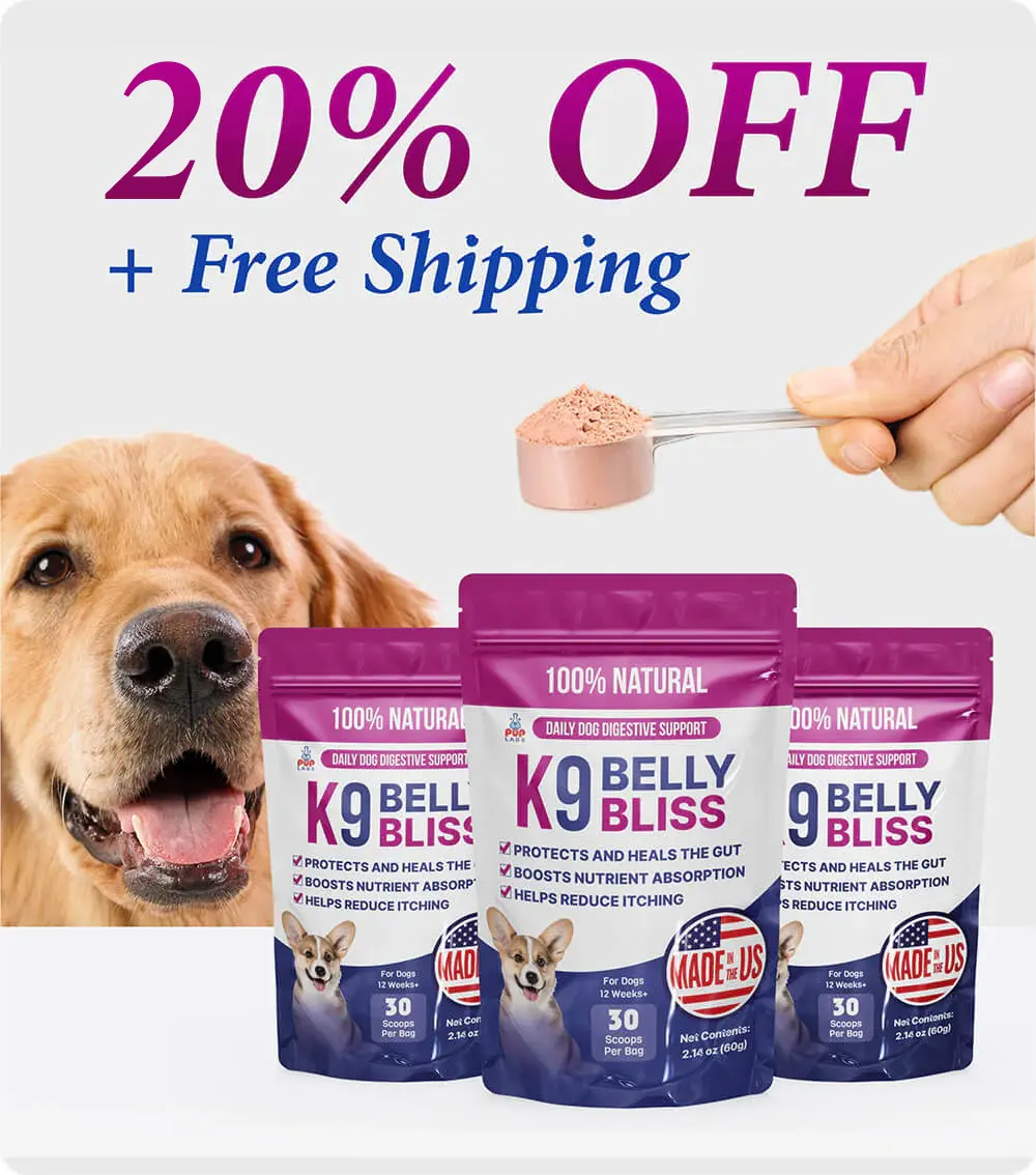 K9 Belly Bliss - Digestive Support - Image 5