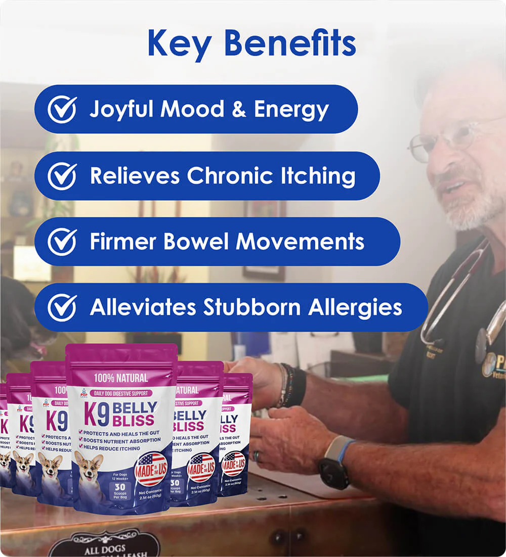 K9 Belly Bliss - Digestive Support - Image 6