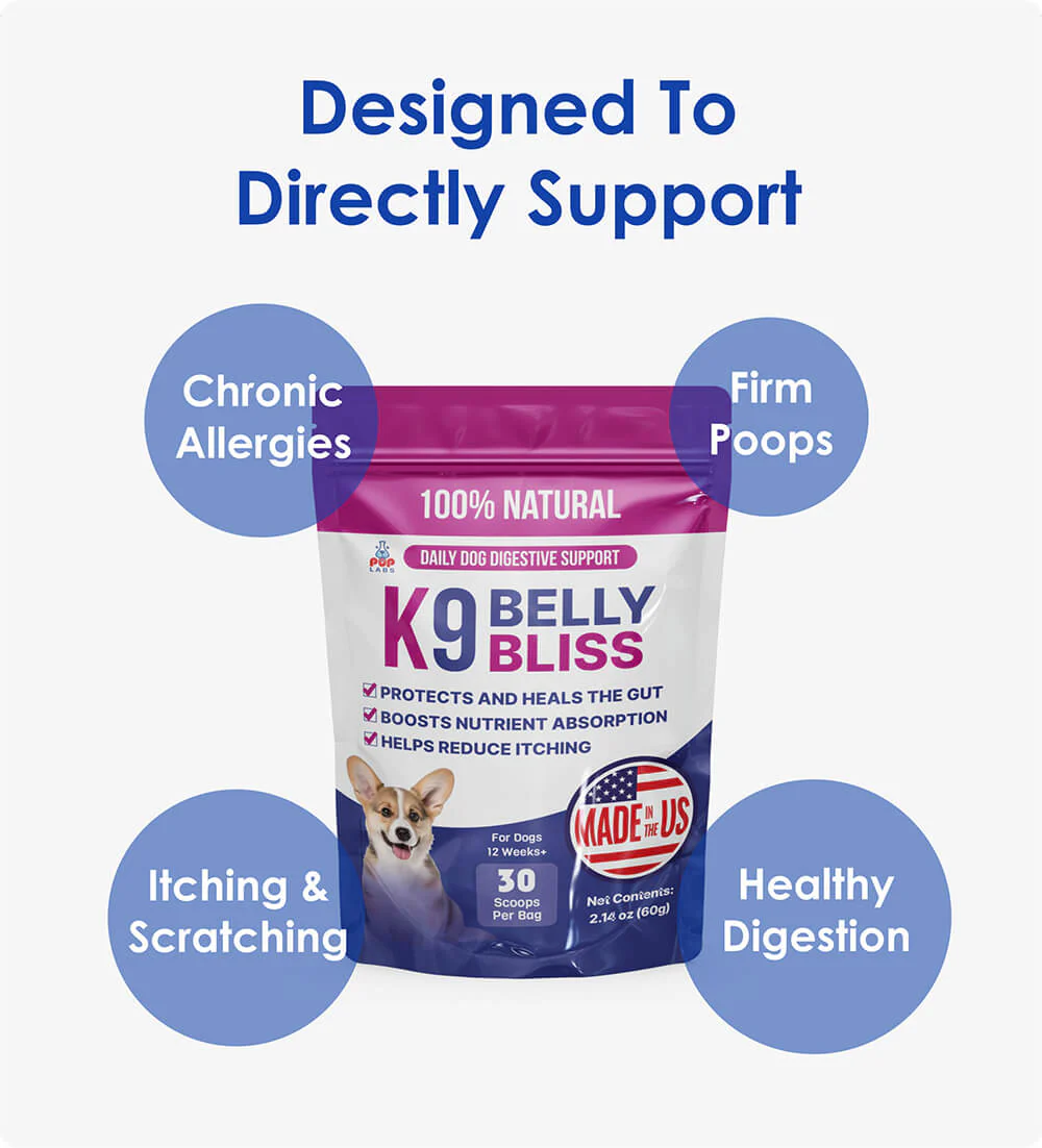 K9 Belly Bliss - Digestive Support - Image 9
