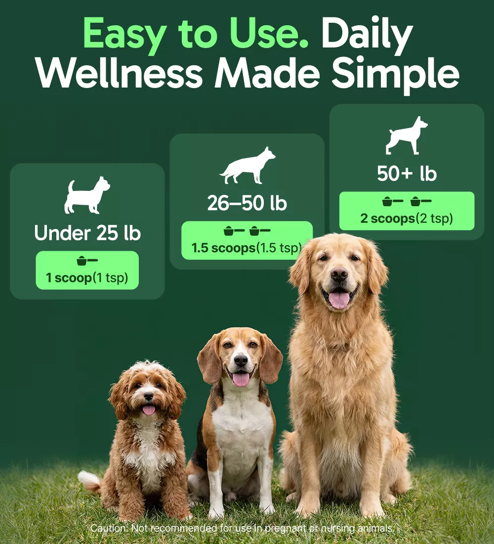 K9 Immune™ - Image 4