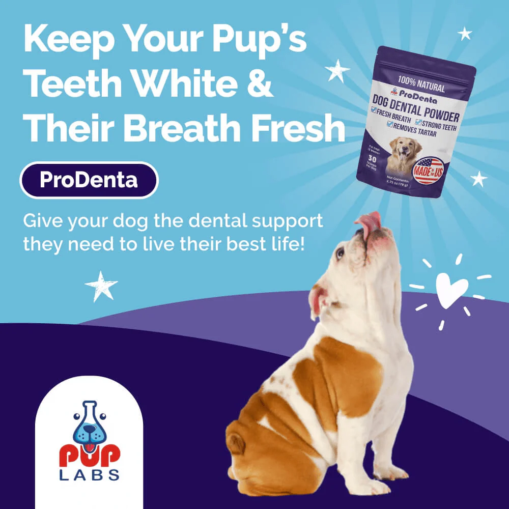 ProDenta - Dental Powder - Image 5