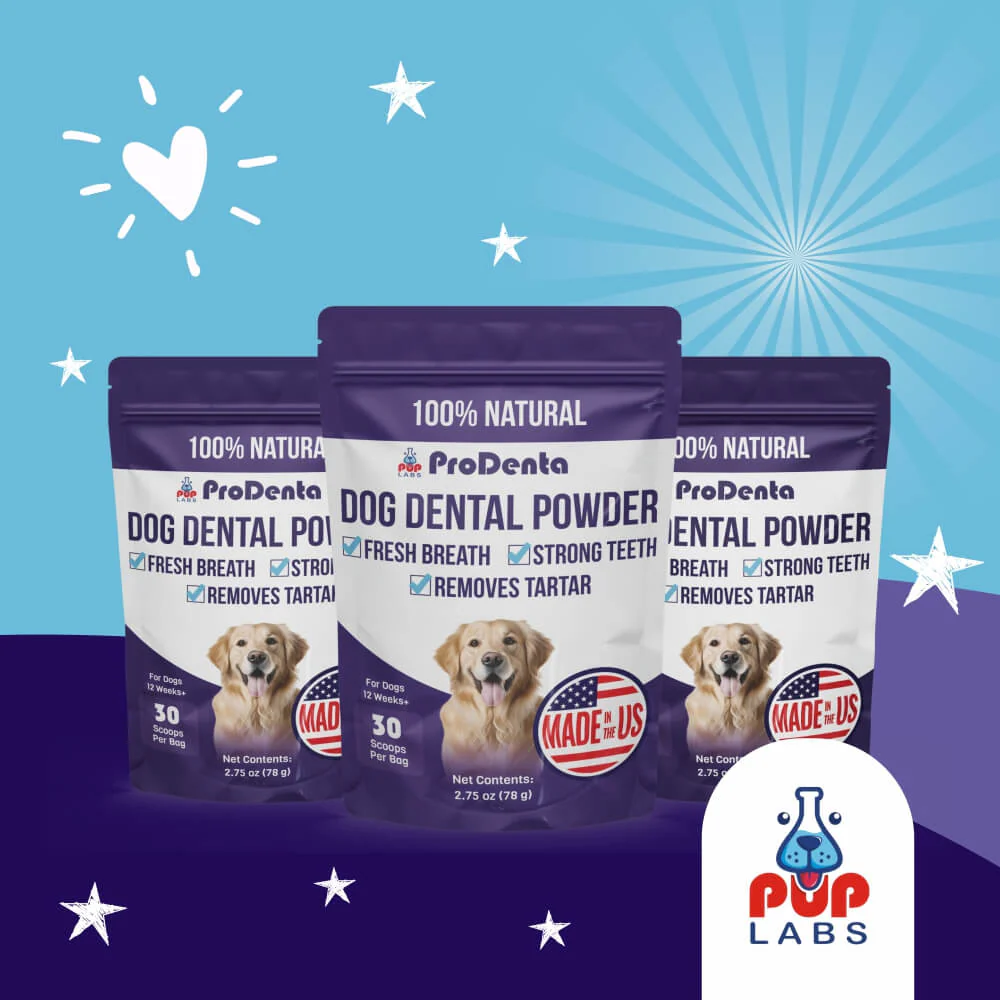 ProDenta - Dental Powder - Image 8