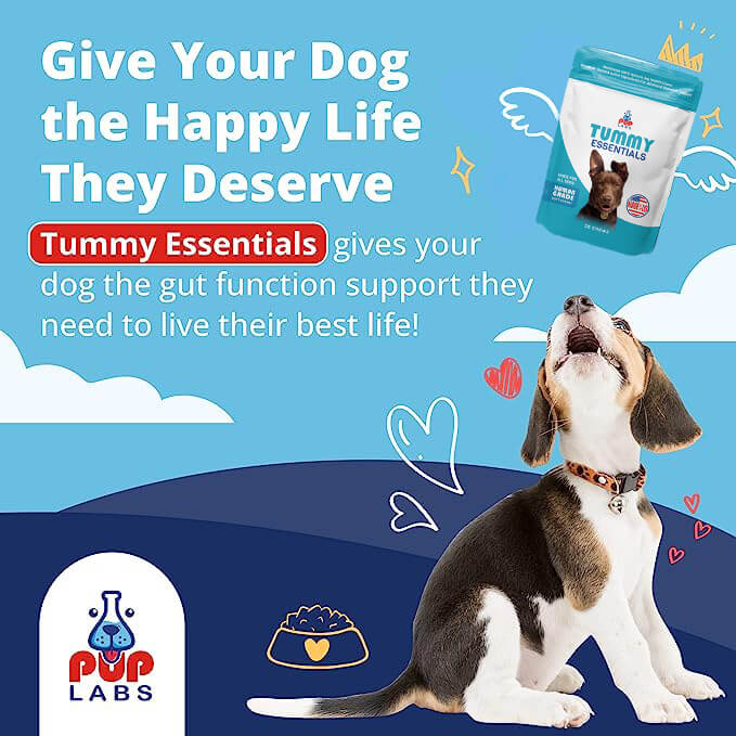 Tummy Essentials - Image 8